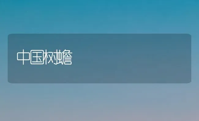 中国树蟾 | 养殖技术大全