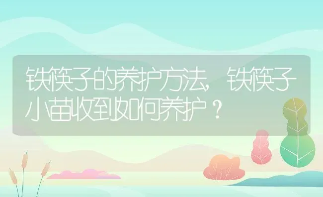 铁筷子的养护方法,铁筷子小苗收到如何养护？ | 养殖科普