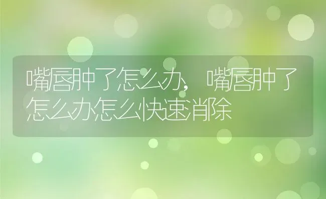 嘴唇肿了怎么办,嘴唇肿了怎么办怎么快速消除 | 养殖资料