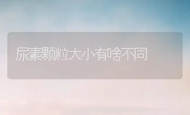 尿素颗粒大小有啥不同 | 养殖技术大全