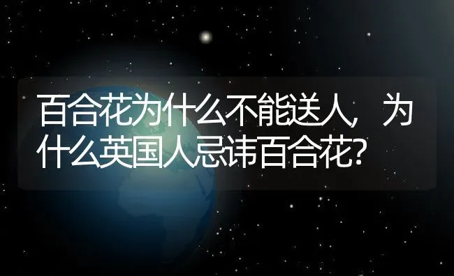 百合花为什么不能送人,为什么英国人忌讳百合花？ | 养殖学堂