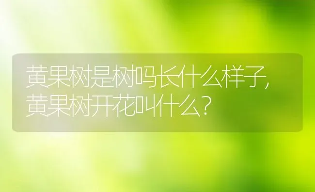 黄果树是树吗长什么样子,黄果树开花叫什么？ | 养殖科普