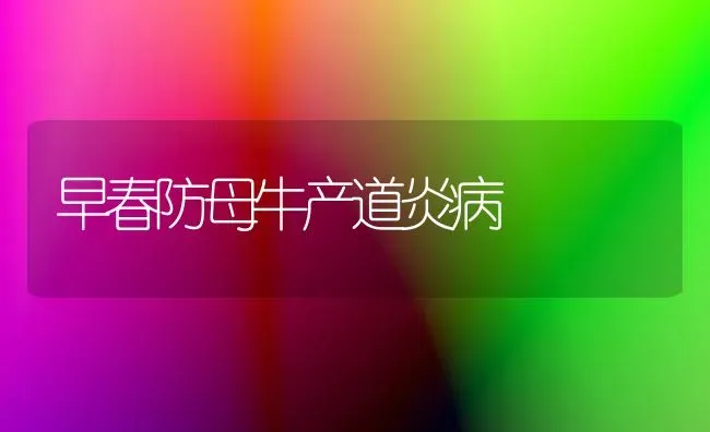 早春防母牛产道炎病 | 养殖知识