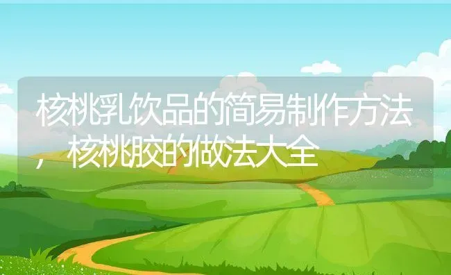 核桃乳饮品的简易制作方法,核桃胶的做法大全 | 养殖学堂