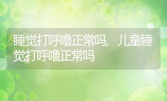 睡觉打呼噜正常吗,儿童睡觉打呼噜正常吗 | 养殖资料