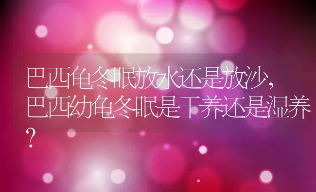 猫可以带上地铁吗,猫可以带上地铁吗有包 | 养殖科普