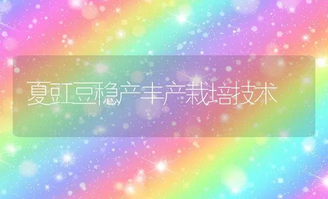 夏豇豆稳产丰产栽培技术 | 养殖技术大全