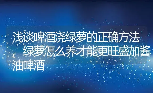 浅谈啤酒浇绿萝的正确方法,绿萝怎么养才能更旺盛加酱油啤酒 | 养殖学堂