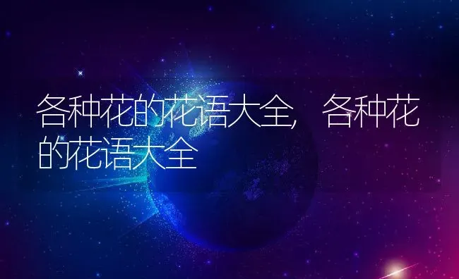 各种花的花语大全,各种花的花语大全 | 养殖科普