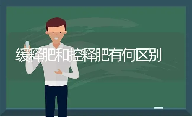 缓释肥和控释肥有何区别 | 养殖技术大全