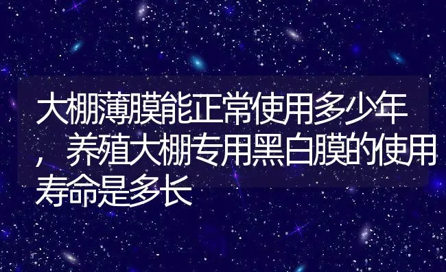 大棚薄膜能正常使用多少年,养殖大棚专用黑白膜的使用寿命是多长 | 养殖学堂