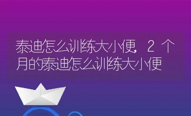 泰迪怎么训练大小便,2个月的泰迪怎么训练大小便 | 养殖科普