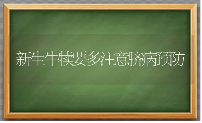 新生牛犊要多注意脐病预防 | 养殖技术大全