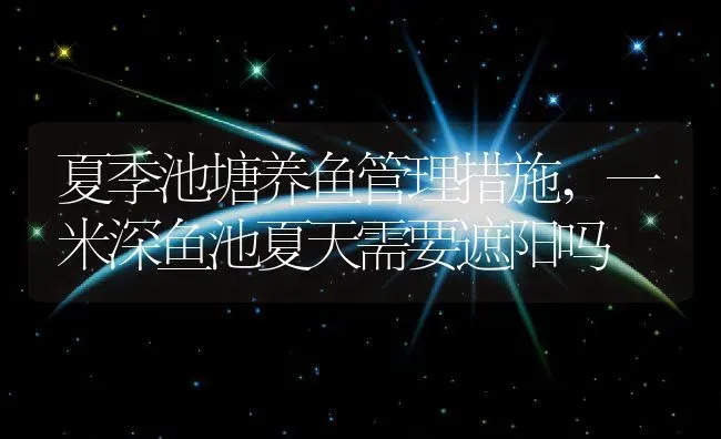 夏季池塘养鱼管理措施,一米深鱼池夏天需要遮阳吗 | 养殖学堂