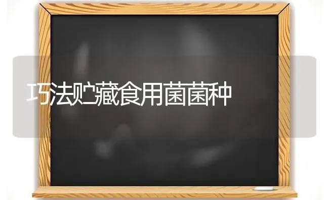 巧法贮藏食用菌菌种 | 养殖知识