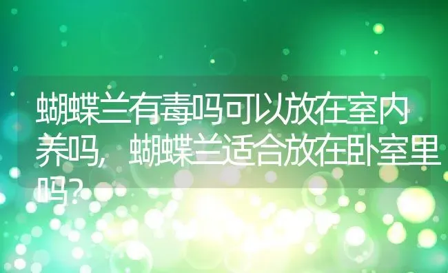 蝴蝶兰有毒吗可以放在室内养吗,蝴蝶兰适合放在卧室里吗？ | 养殖科普