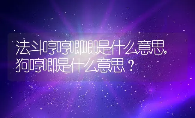 法斗哼哼唧唧是什么意思,狗哼唧是什么意思？ | 养殖学堂