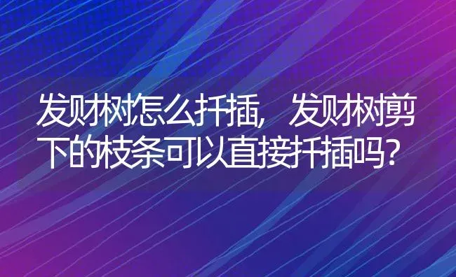 发财树怎么扦插,发财树剪下的枝条可以直接扦插吗？ | 养殖科普