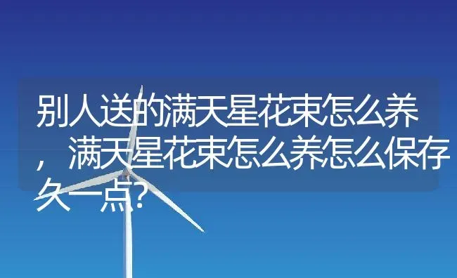 别人送的满天星花束怎么养,满天星花束怎么养怎么保存久一点？ | 养殖科普