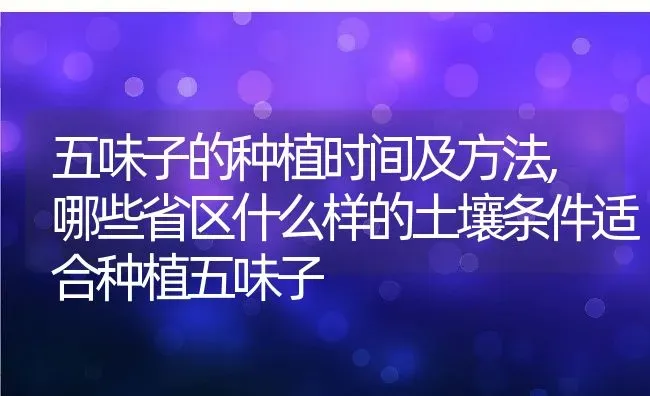 五味子的种植时间及方法,哪些省区什么样的土壤条件适合种植五味子 | 养殖学堂