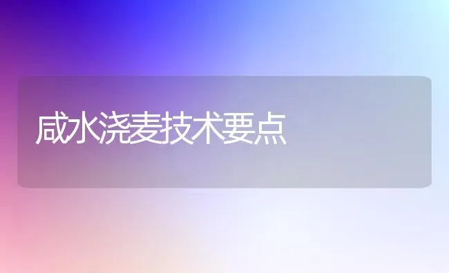 咸水浇麦技术要点 | 养殖知识