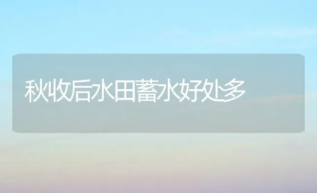 秋收后水田蓄水好处多 | 养殖技术大全