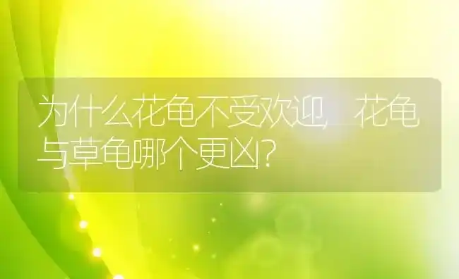 为什么花龟不受欢迎,花龟与草龟哪个更凶？ | 养殖学堂