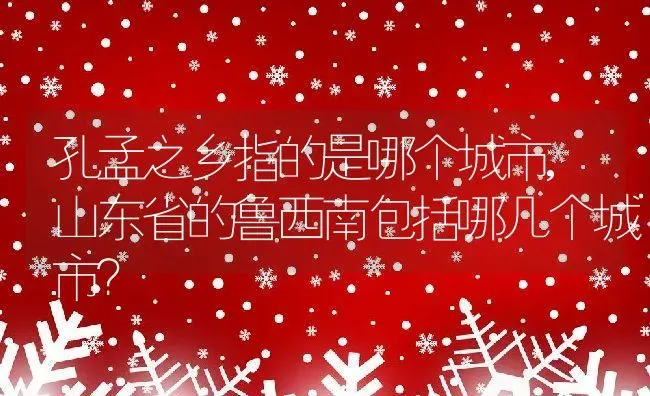 孔孟之乡指的是哪个城市,山东省的鲁西南包括哪几个城市？ | 养殖科普