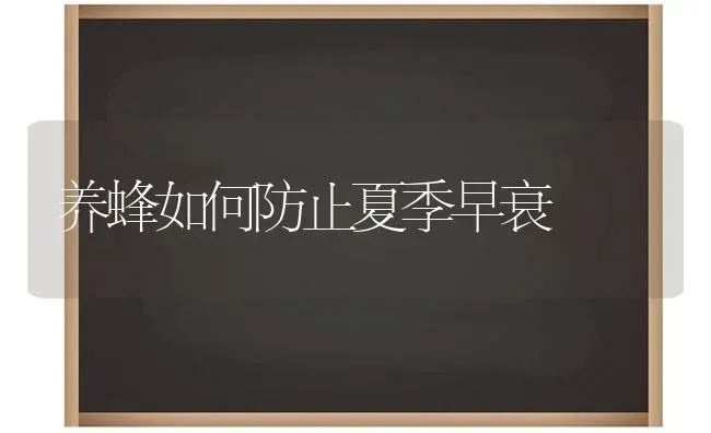 养蜂如何防止夏季早衰 | 养殖技术大全