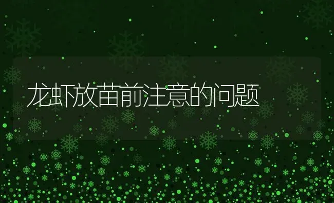 龙虾放苗前注意的问题 | 养殖技术大全