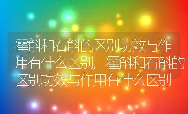 霍斛和石斛的区别功效与作用有什么区别,霍斛和石斛的区别功效与作用有什么区别 | 养殖科普