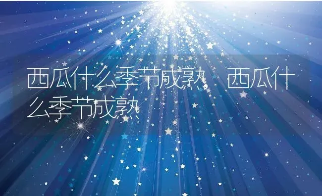 西瓜什么季节成熟,西瓜什么季节成熟 | 养殖科普