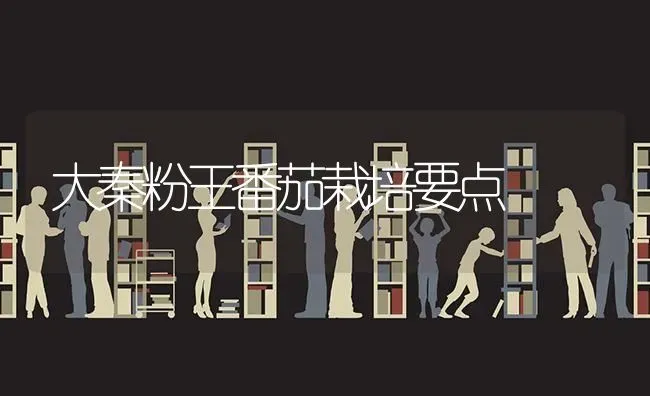 大秦粉王番茄栽培要点 | 养殖技术大全