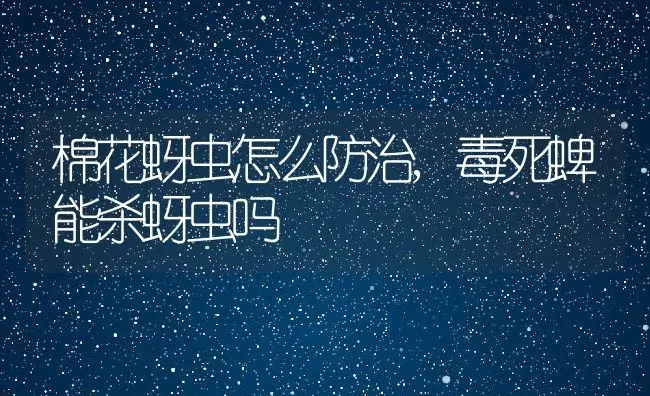 棉花蚜虫怎么防治,毒死蜱能杀蚜虫吗 | 养殖学堂