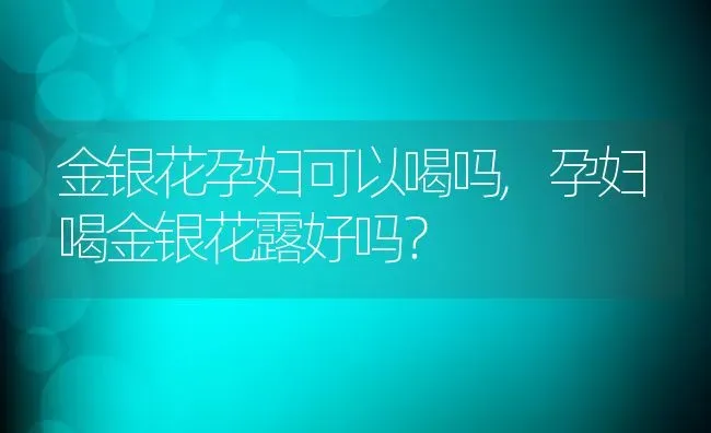 金银花孕妇可以喝吗,孕妇喝金银花露好吗？ | 养殖科普