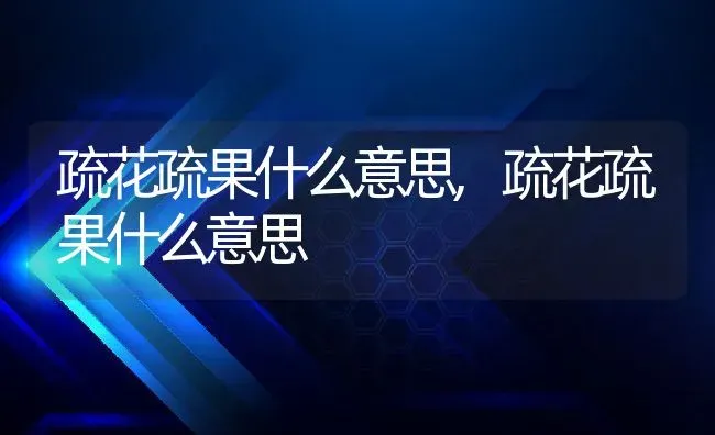 疏花疏果什么意思,疏花疏果什么意思 | 养殖科普