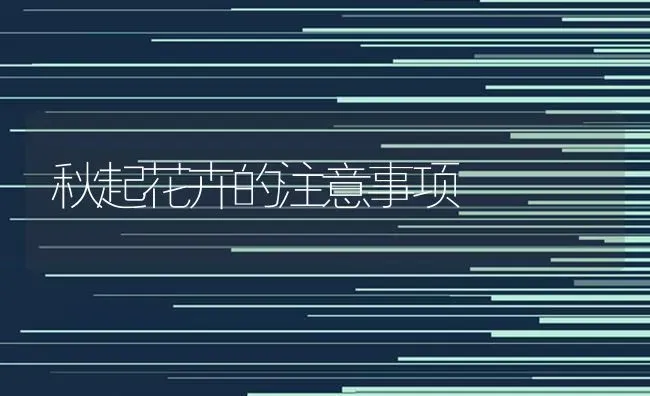 秋起花卉的注意事项 | 养殖技术大全