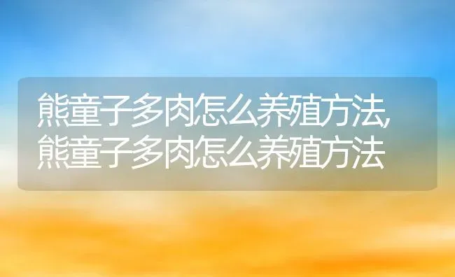 熊童子多肉怎么养殖方法,熊童子多肉怎么养殖方法 | 养殖科普