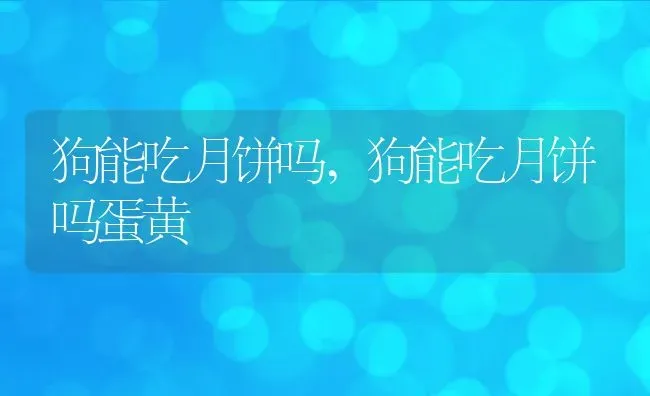 狗能吃月饼吗,狗能吃月饼吗蛋黄 | 养殖资料