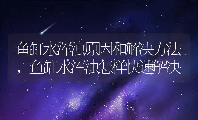 鱼缸水浑浊原因和解决方法,鱼缸水浑浊怎样快速解决 | 养殖资料