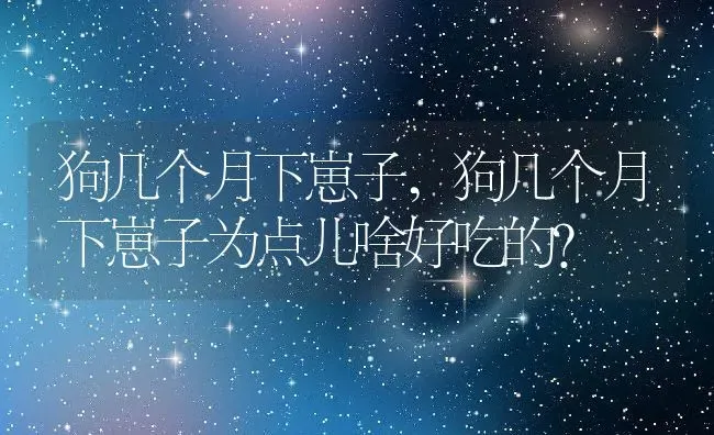 狗几个月下崽子,狗几个月下崽子为点儿啥好吃的? | 养殖科普