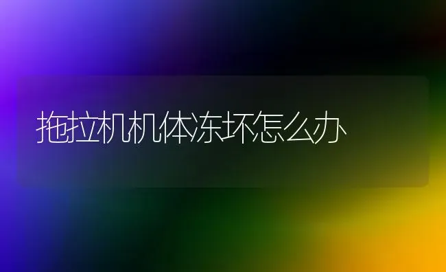 拖拉机机体冻坏怎么办 | 养殖知识