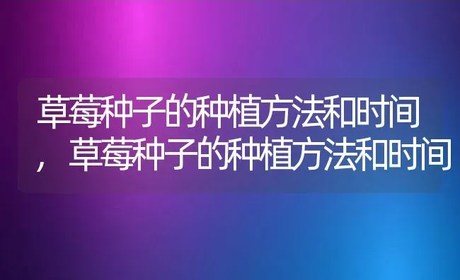 草莓种子的种植方法和时间,草莓种子的种植方法和时间 | 养殖科普