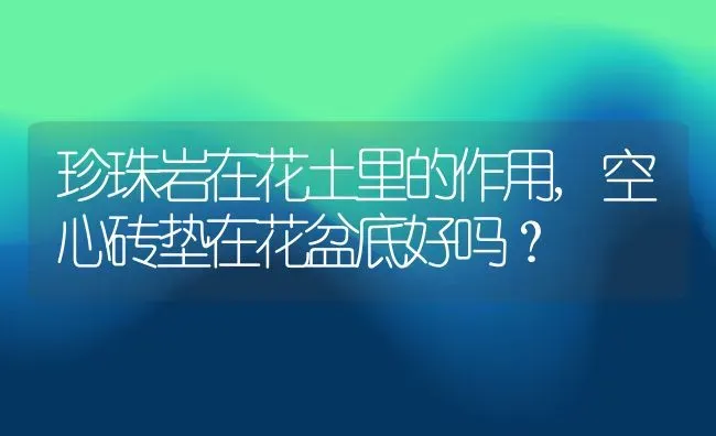 珍珠岩在花土里的作用,空心砖垫在花盆底好吗？ | 养殖科普
