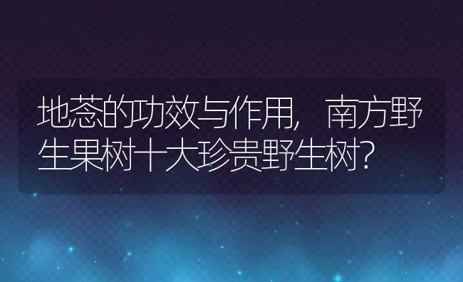地菍的功效与作用,南方野生果树十大珍贵野生树？ | 养殖科普