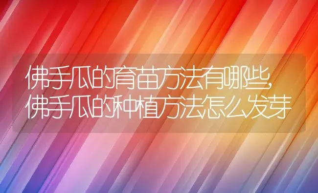 佛手瓜的育苗方法有哪些,佛手瓜的种植方法怎么发芽 | 养殖学堂