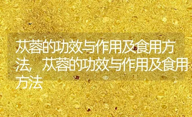 海乐妙驱虫药用法用量,海乐妙驱虫药用法用量14mg | 养殖科普