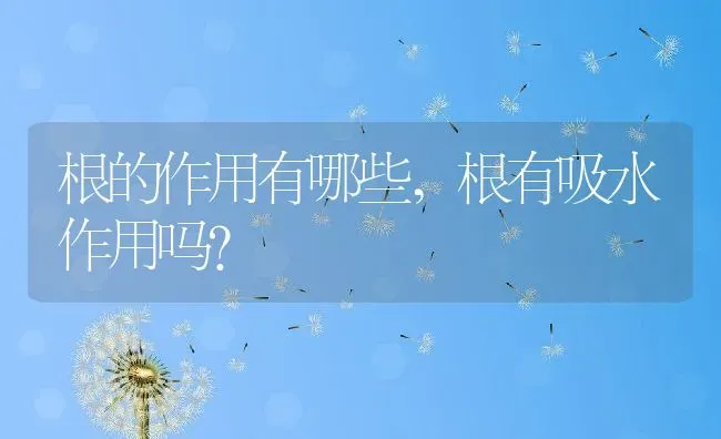 根的作用有哪些,根有吸水作用吗？ | 养殖科普