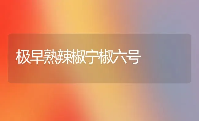 极早熟辣椒宁椒六号 | 养殖技术大全