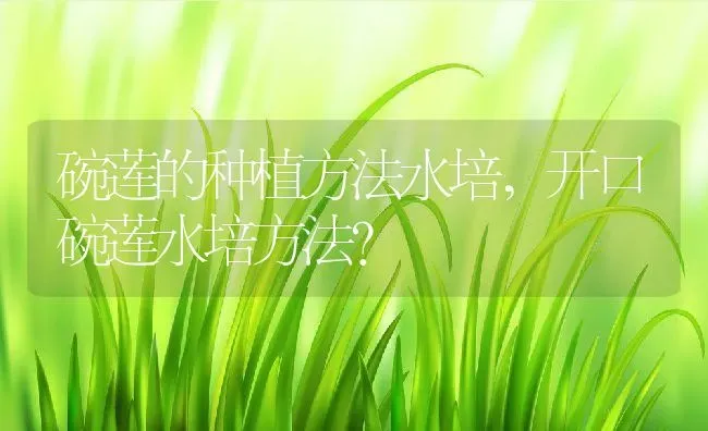 碗莲的种植方法水培,开口碗莲水培方法？ | 养殖科普